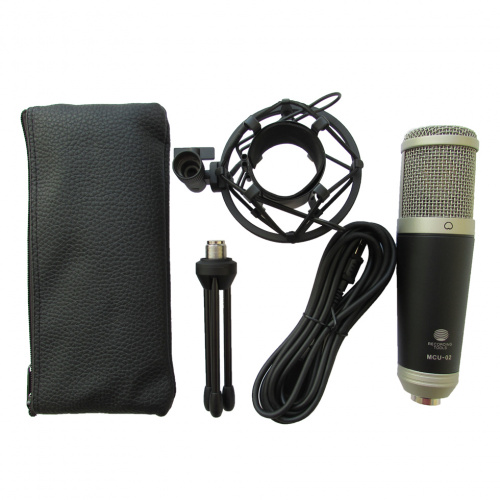 Recording Tools MCU-02 + стойка и амортизатор, USB микрофон фото 3