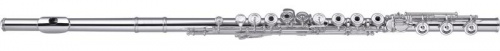 Artist AF 300RBSO Флейта, открытые плоские клапаны, не в линию, с коленом В, Е-механика, головка с