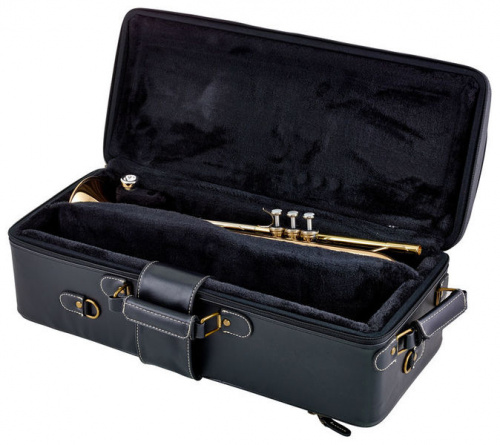 Yamaha YTR-8335G труба Bb профессиональная, тяжёлая, gold brass bell, чистый лак фото 6