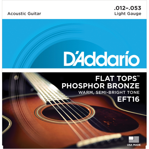 D'Addario EFT16 струны для акустической гитары, фосфор-бронза, полир, Regular Light 12-53*
