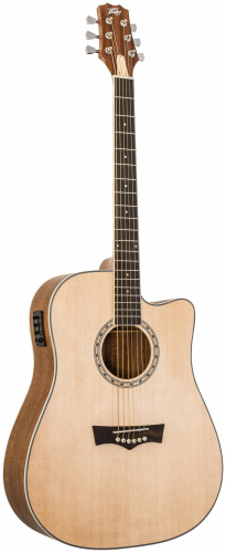 PEAVEY DW 2 CE гитара электроакустическая фото 5
