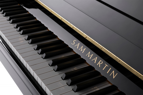 Sam Martin UP110B Пианино акустическое, 88 клавиш, высота 110мм, цвет черный, фурн. золото, банкетка фото 2