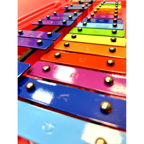 Wisemann WG Glokenspiel 013190 Детский глокеншпиль, 25 клавиш, с палочками, розовый кейс фото 2