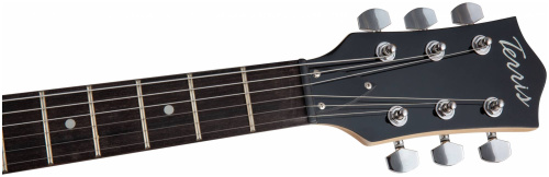 TERRIS TLP-039 BK электрогитара Les Paul, HH, 2V2T, цвет черный фото 3