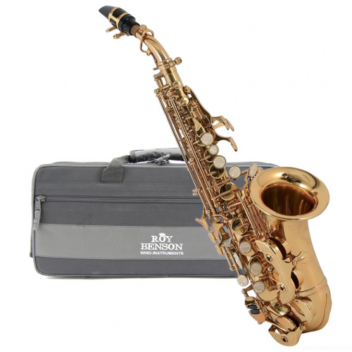 ROY BENSON SG-302 саксофон сопрано Bb изогнутой формы фото 2
