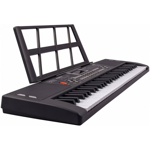 TERRIS TK-200 BK синтезатор, 61 мини клавиша, микрофон, цвет черный фото 2