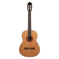 Omni CG-410 классическая гитара, ель/ палисандр, чехол, цвет натуральный
