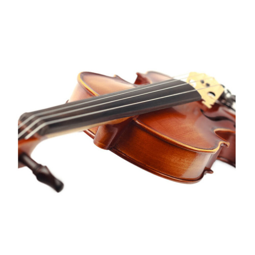 PRIMA P-200 4/4 Скрипка в комплекте (футляр, смычок, канифоль) фото 9