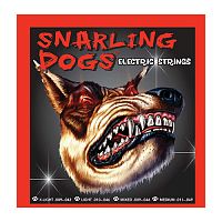 D'Andrea SDN10 Струны для электрогитары Серия: Snarling Dogs Калибр: 10 13 17 26 36 46