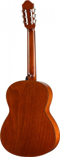 Walden N350W Гитара классическая, в/дека ель, н/дека и обечайки махагон, лакированная, чехол фото 2
