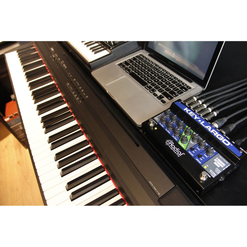 Radial Key-Largo Микшер для клавишника с поддержкой MIDI фото 10