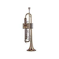Yamaha YTR-8335G труба Bb профессиональная, тяжёлая, gold brass bell, чистый лак