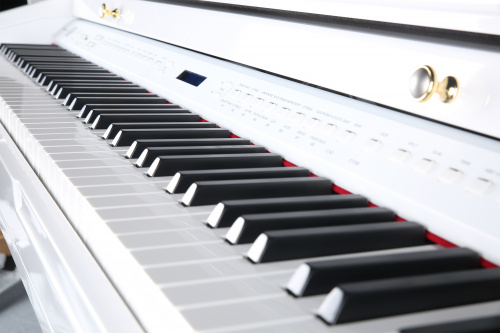 Ringway GDP6320 Polish White Цифровой рояль, 88 взвешенных клавиш, 3 педали полифония: 64 голоса фото 8