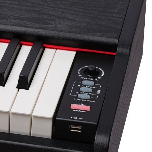 ROCKDALE Keys RDP-3088 цифровое пианино, 88 клавиш фото 6