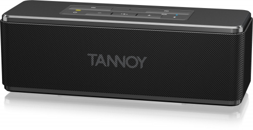 Tannoy LIVE MINI портативная колонка, 2 x 8 Вт, Bluetooth, 2600 мА/час фото 2