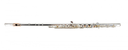 Artist AF-800RBSSOGC-HJS Флейта французской системы, открытые клапаны во французском стиле не в линию, паяные звуковые отверстия, с коленом B, Е-механ