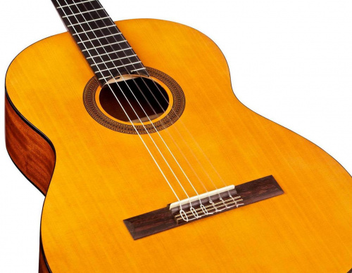 CORDOBA PROTG C1M классическая гитара, корпус махогани, верхняя дека ель, цвет натуральный, покрыти фото 3
