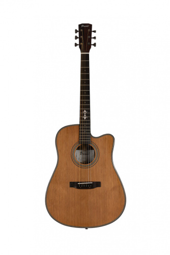 PRIMA MAG219C гитара акустическая (127807)