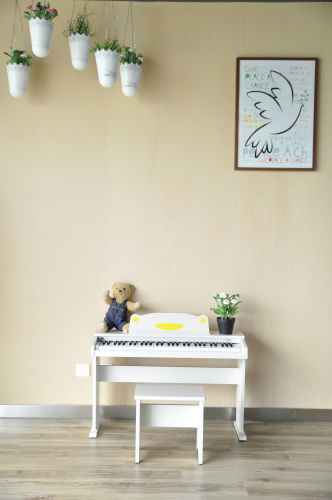 Artesia FUN-1 WH Пианино цифровое, цвет белый фото 13
