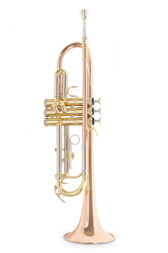 ROY BENSON TR-202G Bb труба (цвет золото) (RB701075) фото 2
