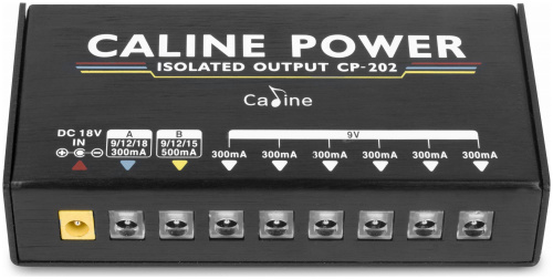 CALINE CP-202 Блок питания фото 5
