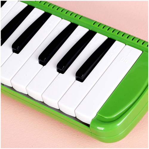BEE BM-32K E мелодика духовая клавишная 32 клавиши, цвет зеленый, мягкий чехол фото 7