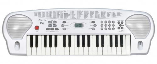 Ringway K15 Синтезатор, 37 клавиш, LCD дисплей, полифония 32 ноты, 100 стилей, 10 демо песен