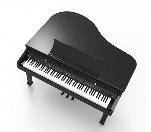 Ringway GDP6320 Polish Black Цифровой рояль, 88 взвешенных клавиш, 3 педали полифония: 64 голоса фото 2