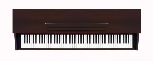Becker BPP-22R цифровое пианино, цвет палисандр, механика New RHA, пластиковые клавиши фото 3