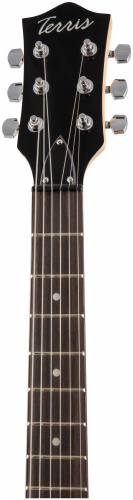 TERRIS TLP-039 WH электрогитара Les Paul, HH, 2V2T, цвет белый фото 7