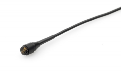 DPA SC4061-BM петличный микрофон всенаправленный чувствительность 6мВ/Па, черный разъем MicroDot