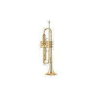 Yamaha YTR-6345G труба Bb профессиональная, средняя, , gold brass, лак-золото