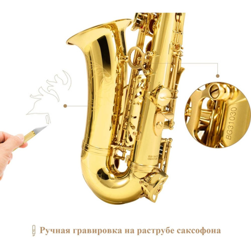 Eastar AS-II Student альт-саксофон, комплект со стойкой, лак золото фото 4
