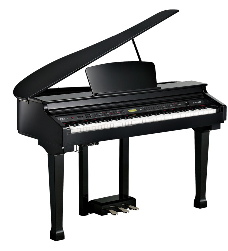 KURZWEIL KAG100 EP цифровой рояль, 88 молоточковых клавиш, цвет черный