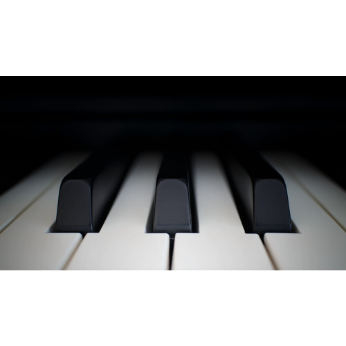Medeli SP3000 Цифровое пианино, 88 клавиш, цвет черный фото 9
