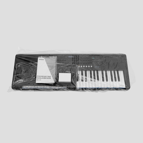 YARGO KEY 100 Синтезатор с автоаккомпанементом. Полифония 32 голоса. 300 тембров. 300 стилей. 80 демомелодий. LED дисплей. Наложение тембров. Разделен фото 13