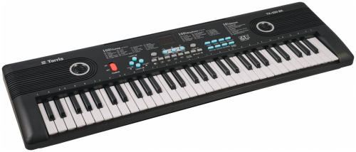 TERRIS TK-150 BK синтезатор, 61 мини клавиша, микрофон, цвет черный фото 2