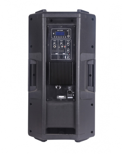 B&G TN-15UB Акустическая система активная, 350Вт RMS, классAB, 15"+1", USB, MP3, SD, BT фото 2