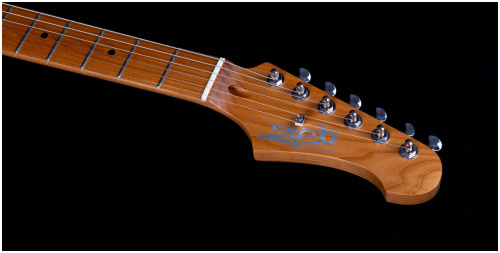 JET JS-300 GD электрогитара, Stratocaster, корпус липа, 22 лада, SSS, tremolo, цвет GD фото 9