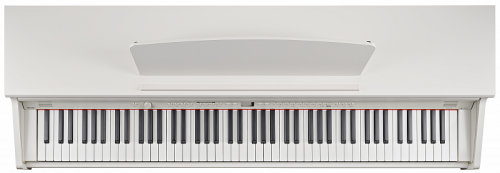 Becker BPP-22W цифровое пианино, цвет белый, механика New RHA, пластиковые клавиши фото 3