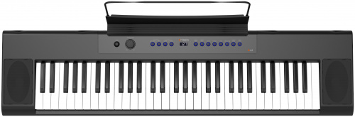 Artesia A61 Black Цифровое фортепиано. Клавиатура: 61 динамич. полувзвешенных клавиш полифония: 32г фото 2
