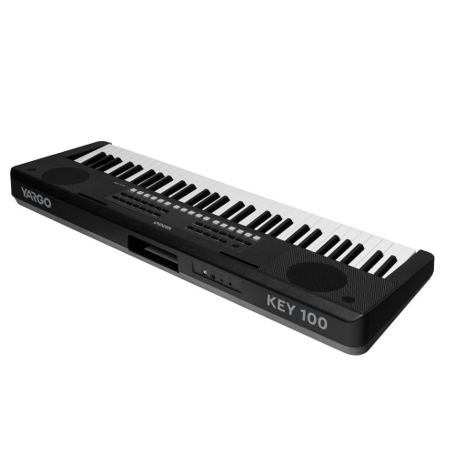 YARGO KEY 100 Синтезатор с автоаккомпанементом. Полифония 32 голоса. 300 тембров. 300 стилей. 80 демомелодий. LED дисплей. Наложение тембров. Разделен фото 3