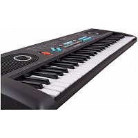 TERRIS TK-150 BK синтезатор, 61 мини клавиша, микрофон, цвет черный