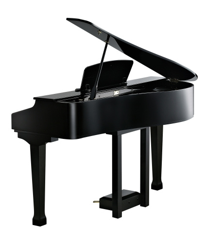 KURZWEIL KAG100 EP цифровой рояль, 88 молоточковых клавиш, цвет черный фото 2