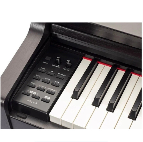 Medeli UP203 RW Электропиано, 88 клавиш, клавиатура GAC-II, 192 полифония, 30 тембров, 50 ритмов фото 4