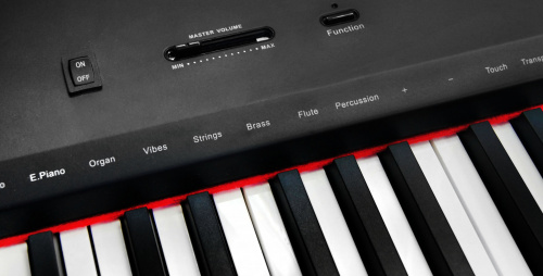 Sai Piano P-9BK Цифровое пианино, 88 клавиш, молоточковая механика, цвет черный фото 4