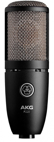 AKG P220 конденсаторный кардиоидный микрофон, мембрана 1", 20-20000Гц, 20мВ/Па, SH300 "паук", кейс фото 2