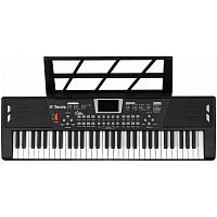 TERRIS TK-200 BK синтезатор, 61 мини клавиша, микрофон, цвет черный