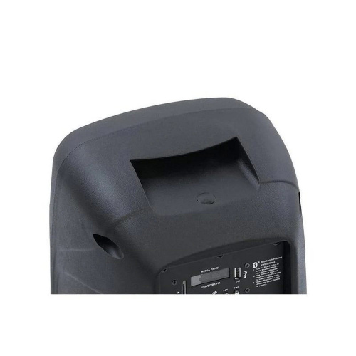 Gemini AS-08TOGO Портативная акустическая система, 500 Ватт, 8" вуфер, bluetooth, USB. SD фото 3