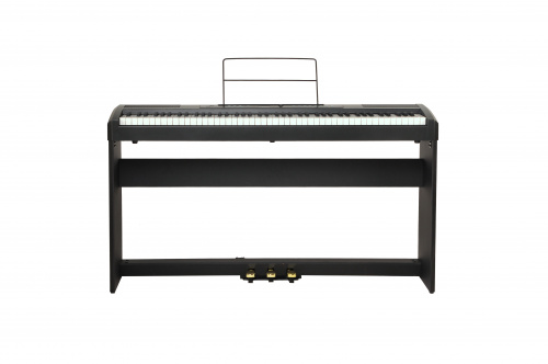 Ringway RP-25 Цифровое фортепиано. Клавиатура: 88 полноразмерных динамических молоточковых клавиш фото 5